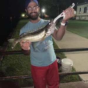 Meet your Posher, Tyler